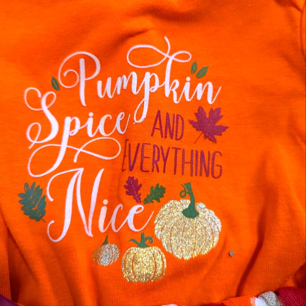 Little Girls 4 Piece "Pumpkin Spice" Long Sleeve Outfit Brand New With T…
